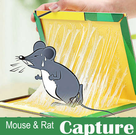 (Pack of 10) Sticky Glue Mouse Trap Book Essential Rat Catcher For Home and Dorm Cleaning