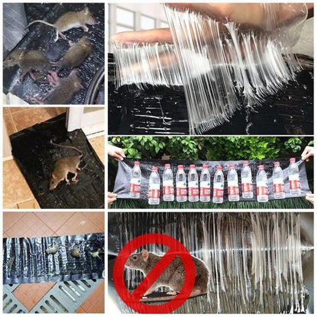 Imported Sticky Mouse & Rat Trap Sheet with Powerful Stickiness & Highly Adhesive Bond