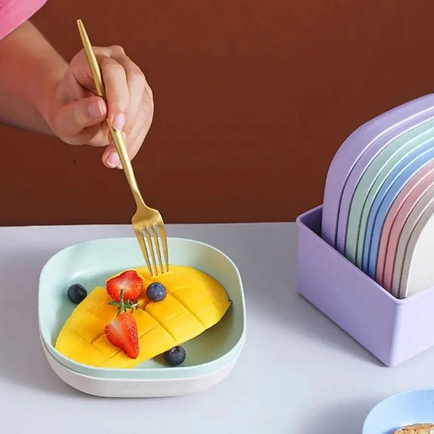 Buy 5 Get 5 Free Sale Offer - Imported 10 Pcs Set of Dish Plates with Free Holder in Rs 999 Only - Trendy and Stylish