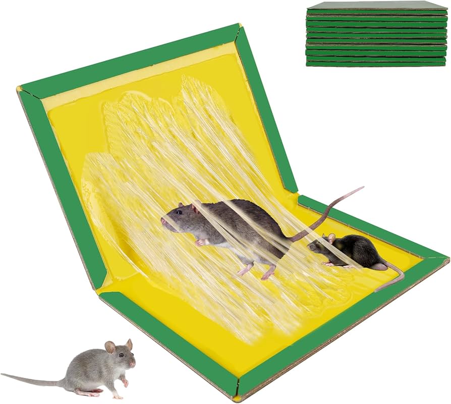 (Pack of 10) Sticky Glue Mouse Trap Book Essential Rat Catcher For Home and Dorm Cleaning