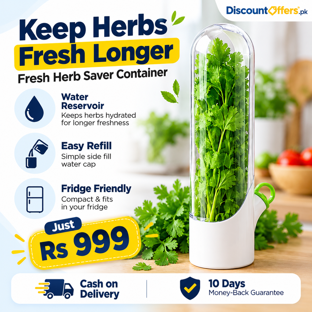 Fresh Herb Saver Container Keeps Herbs Fresh Longer