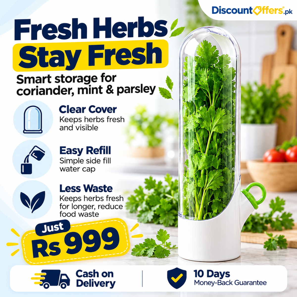 Fresh Herb Saver Container Keeps Herbs Fresh Longer