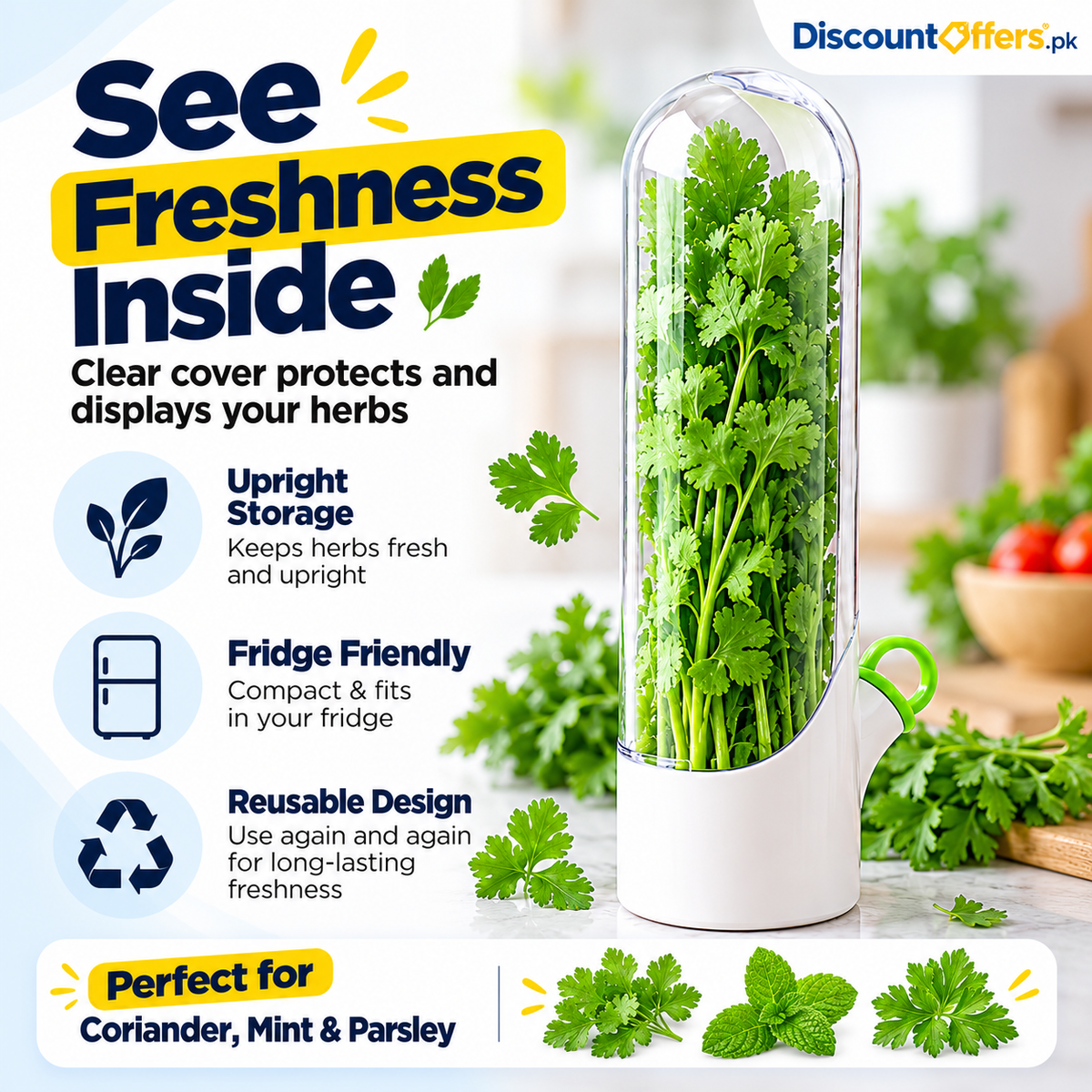 Fresh Herb Saver Container Keeps Herbs Fresh Longer