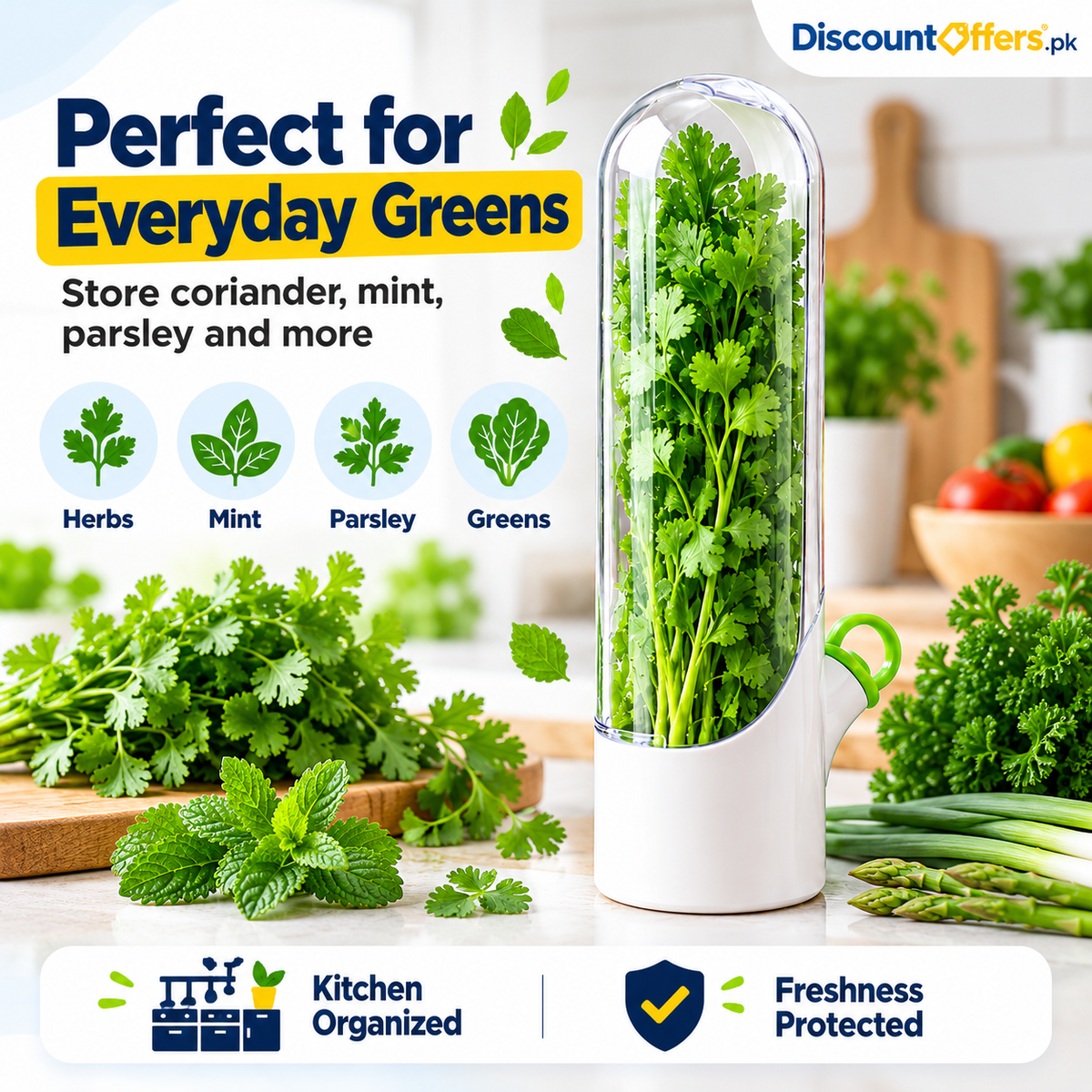 Fresh Herb Saver Container Keeps Herbs Fresh Longer