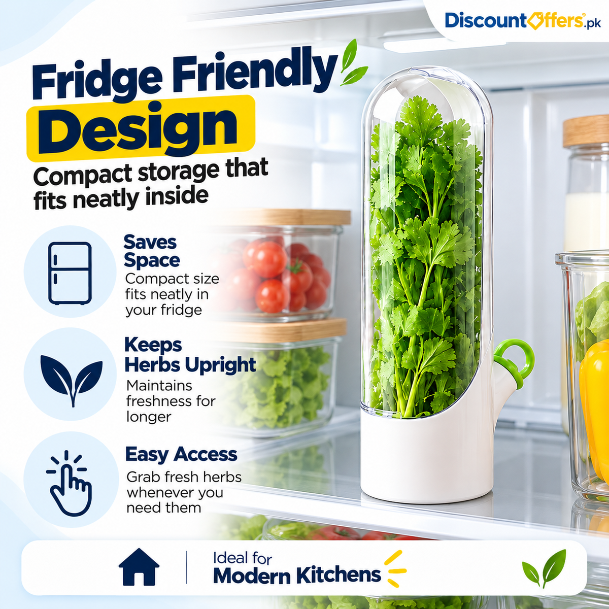 Fresh Herb Saver Container Keeps Herbs Fresh Longer