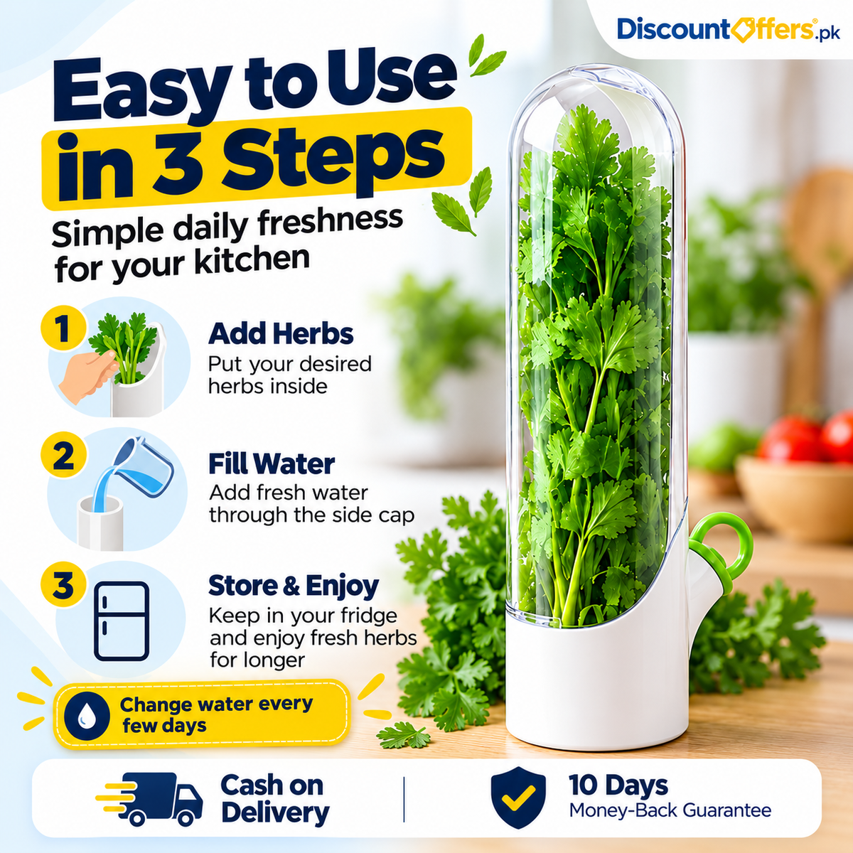Fresh Herb Saver Container Keeps Herbs Fresh Longer