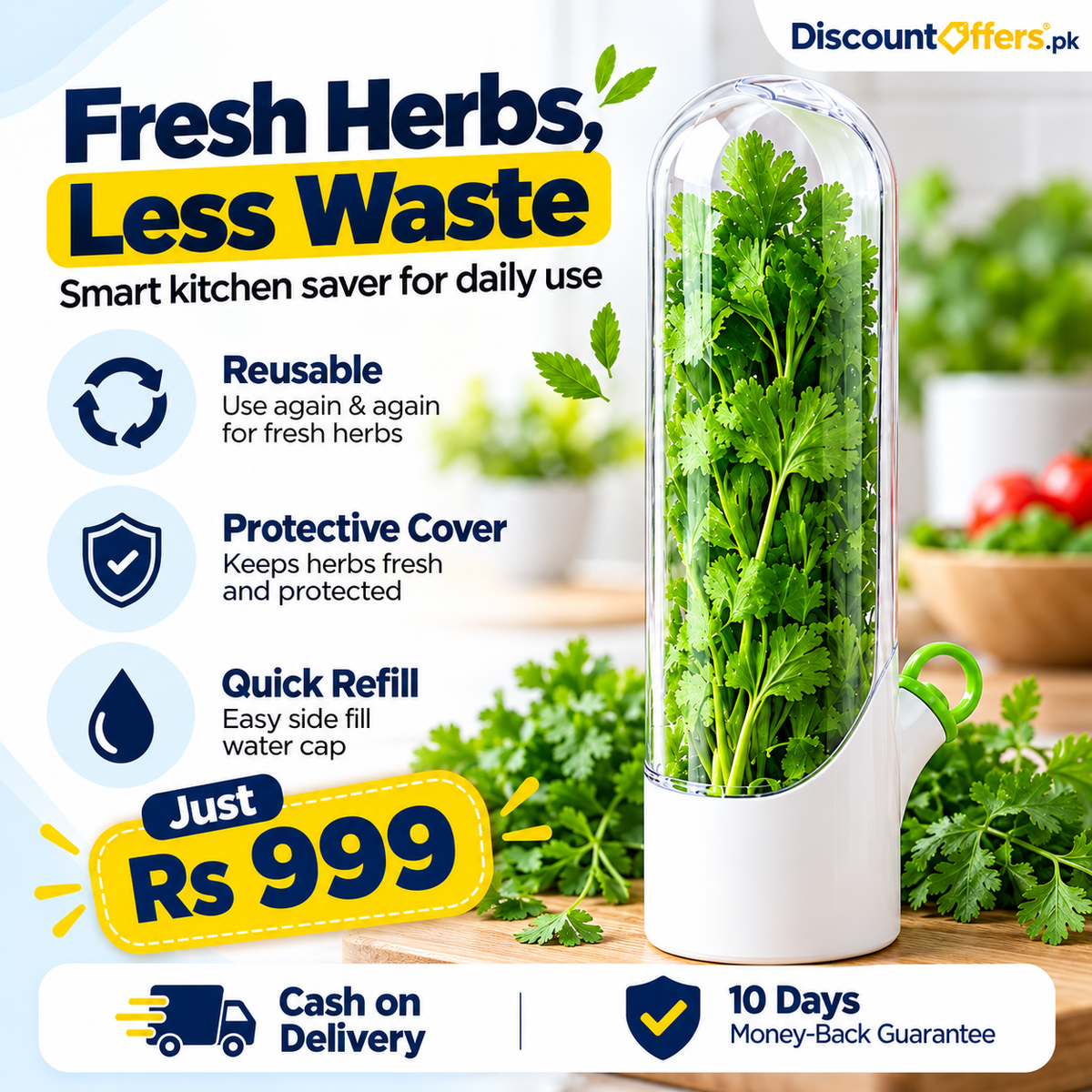 Fresh Herb Saver Container Keeps Herbs Fresh Longer