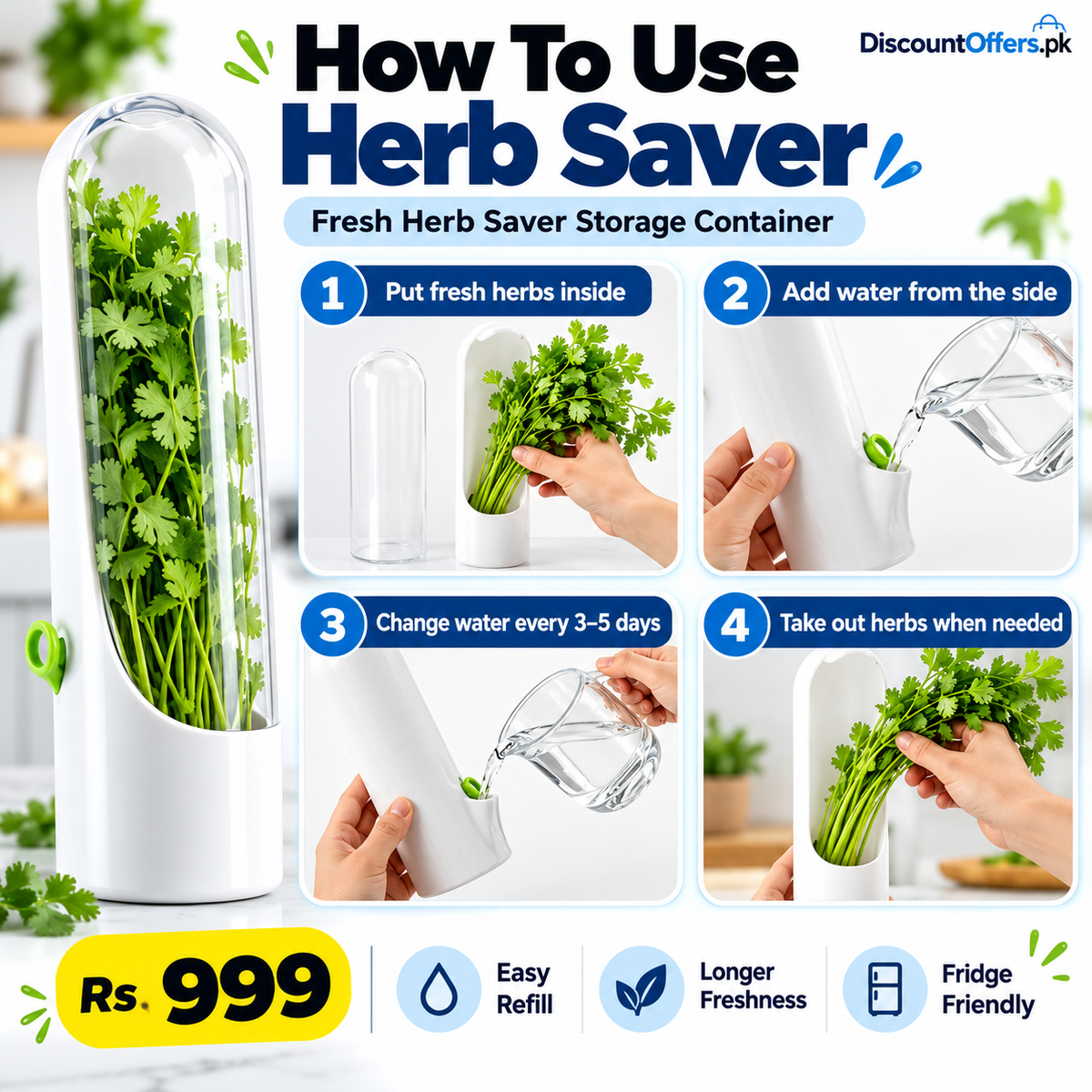 Fresh Herb Saver Container Keeps Herbs Fresh Longer