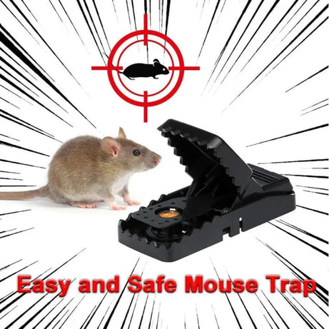Reusable Mouse Traps