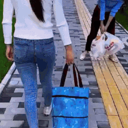 Portable High Quality Collapsible Foldable Reusable Shopping Cart Trolley Roller Grocery Bag with Wheel